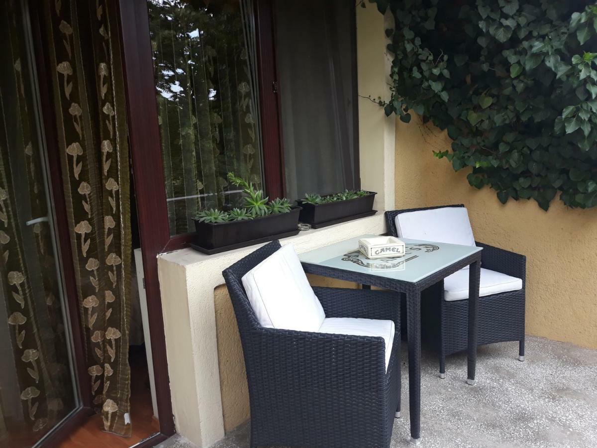 Pensiunea Sydney Timisoara Luaran gambar